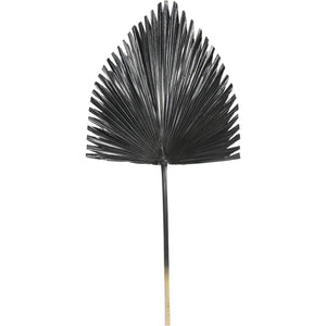 Black Arrowhead Palm Leaf