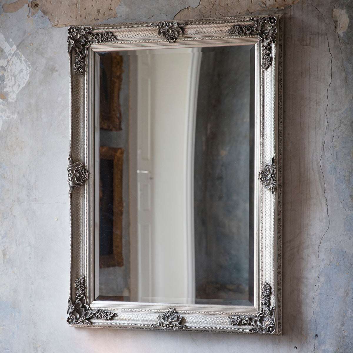 Abney Rectangle Mirror Silver
