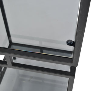 Alberta Black Frame and Tinted Glass Display Unit