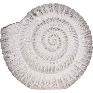 Large Conche Shell Ornament