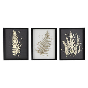 Ferns Framed Art Set of 3