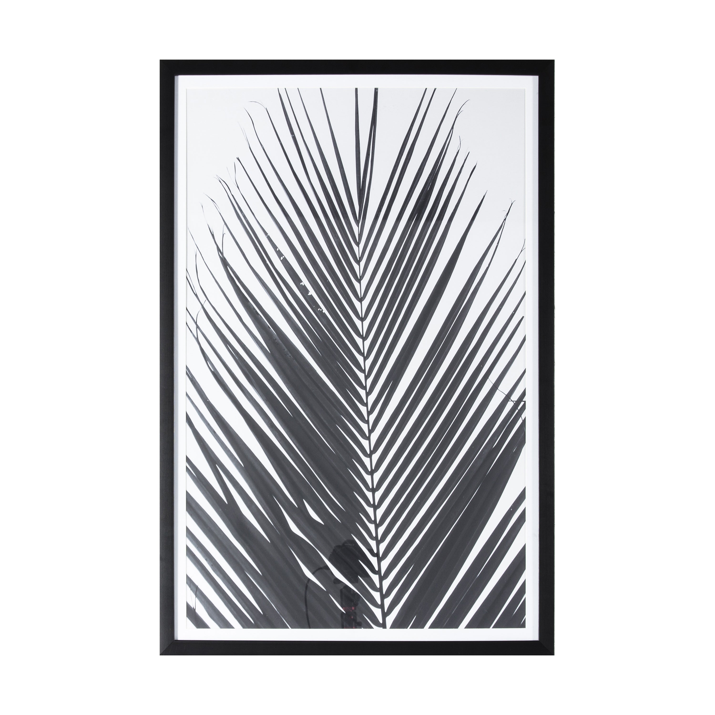 Mono Palm Framed Art