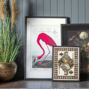 Inquisitive Flamingo Framed Art