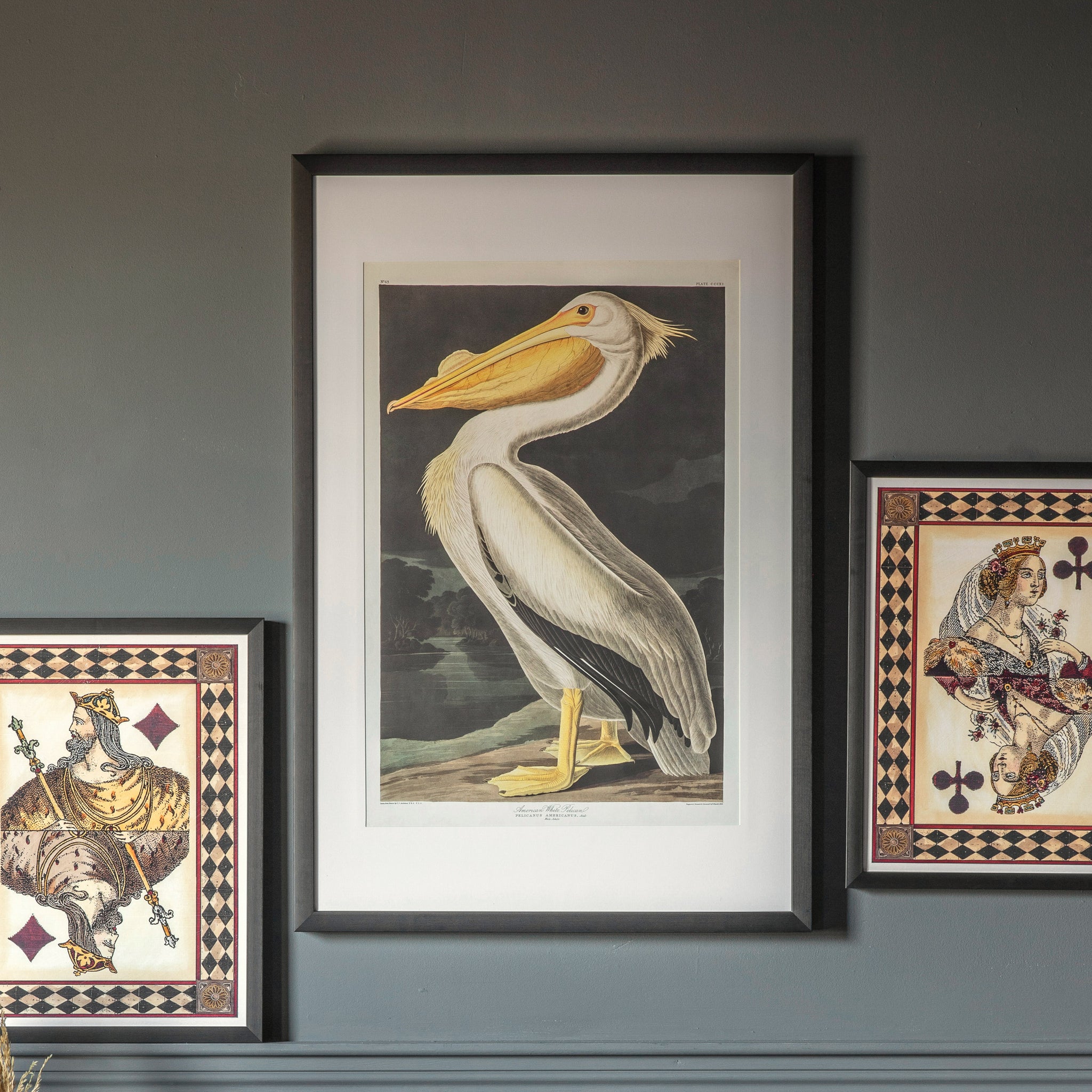 Curious Pelican Framed Art